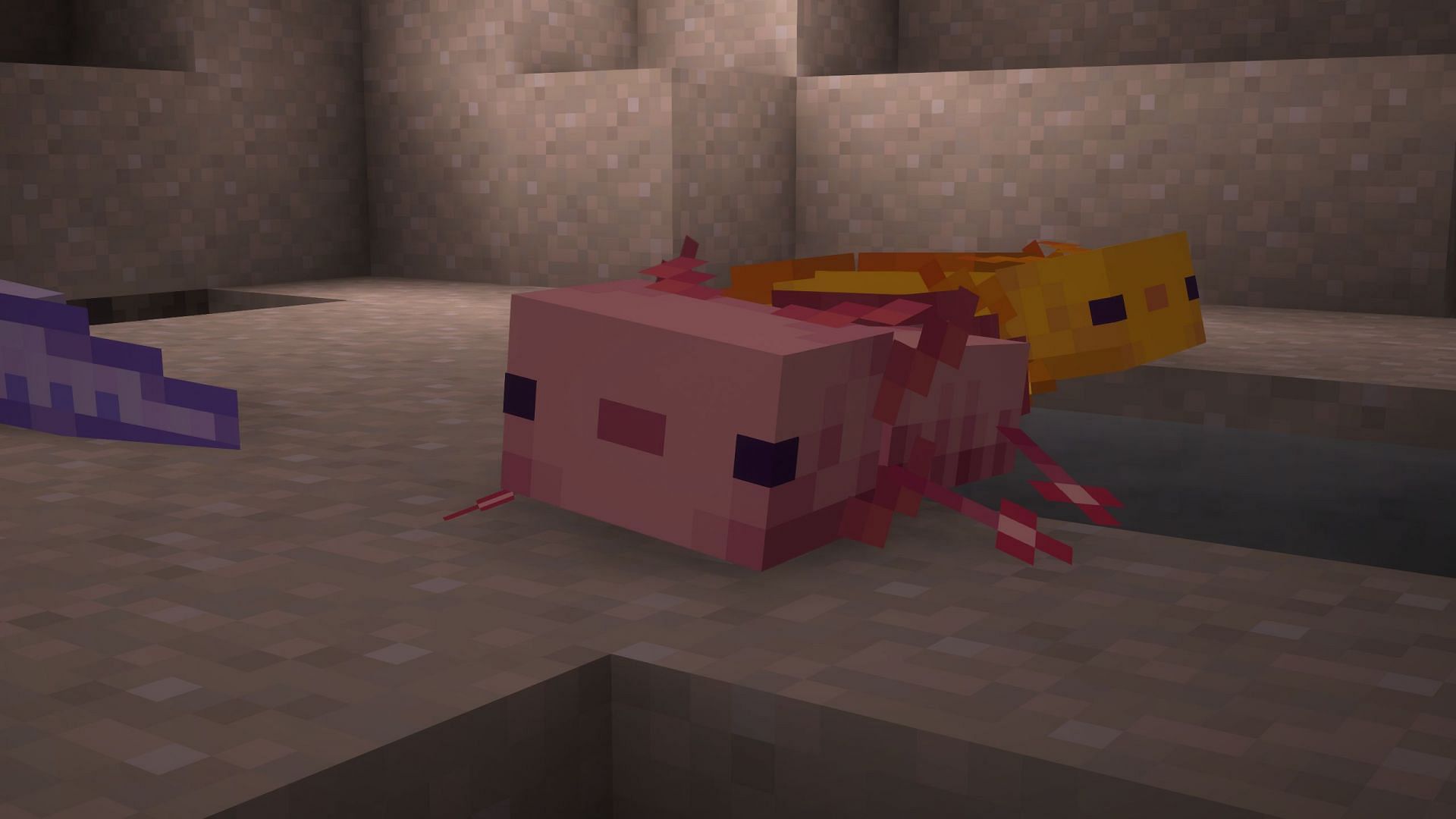 Leucistic is a common type of axolotl (Image via Sportskeeda Gaming || Mojang Studios)
